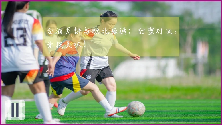 合浦月饼与钦北麻通：甜蜜对决，竞技美味！