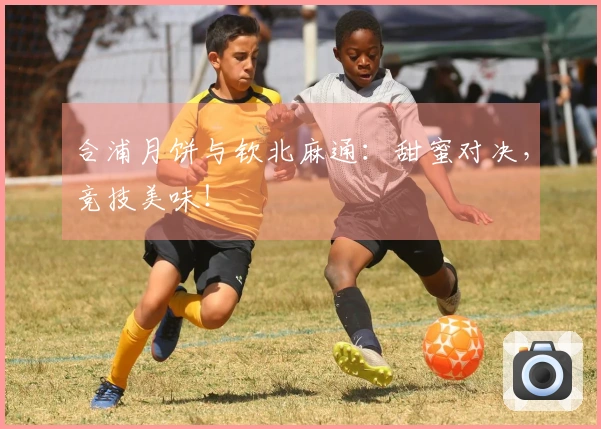 合浦月饼与钦北麻通：甜蜜对决，竞技美味！